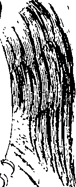 066/066700120000790_1.png