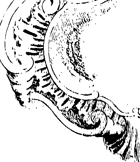 066/066700120000800_0.png
