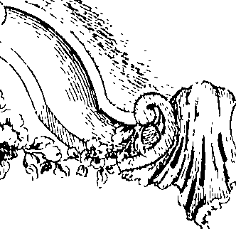 066/066700120000800_1.png