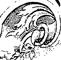 066/066700120000800_2.png