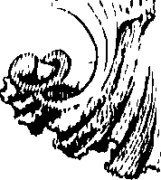 066/066700120000810_0.png