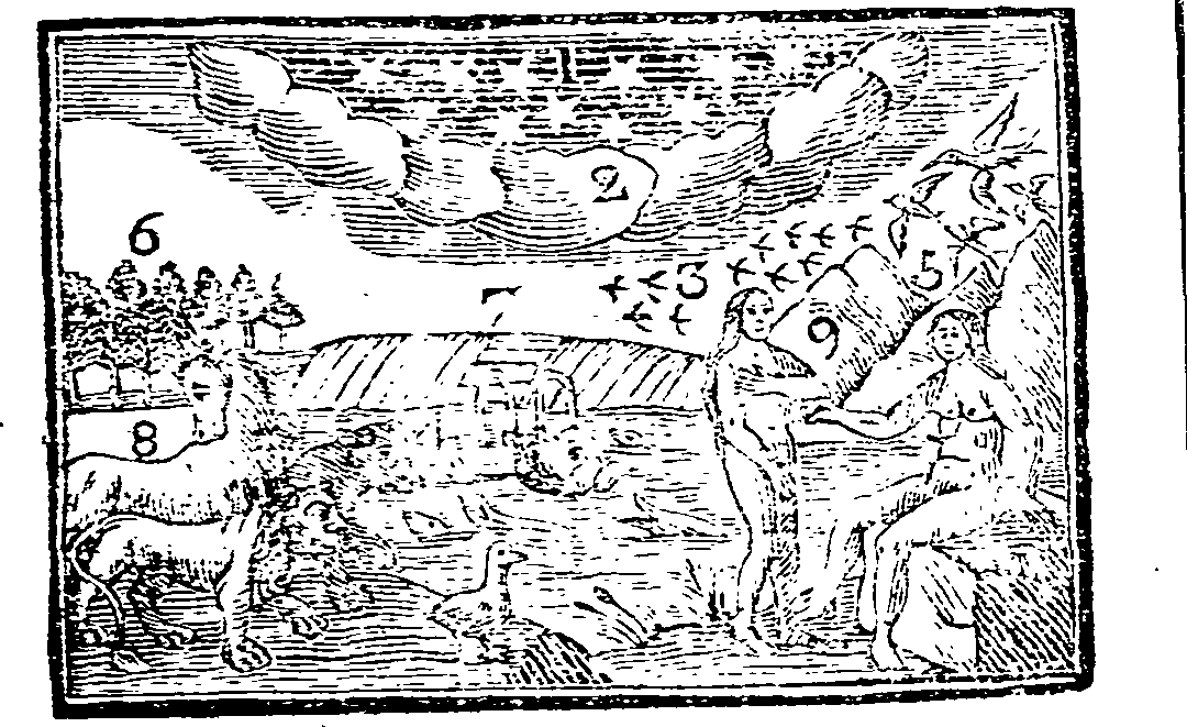 066/066700160000220_0.png