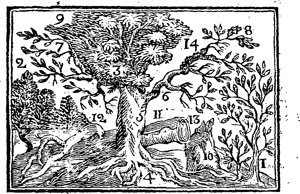 066/066700160000340_0.png