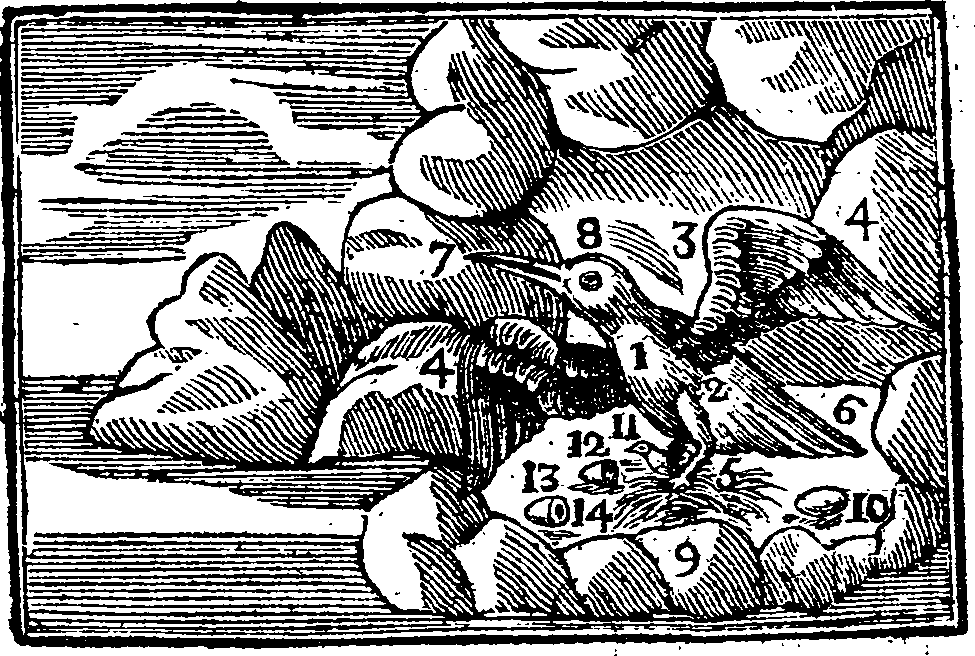 066/066700160000430_0.png