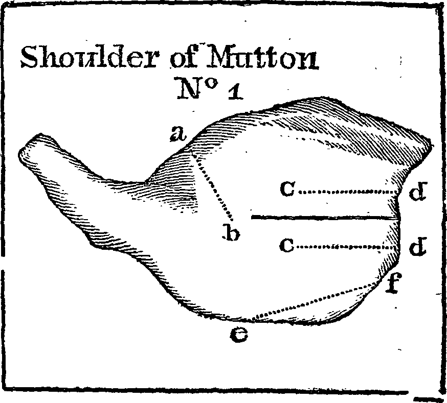 066/066700190000310_0.png
