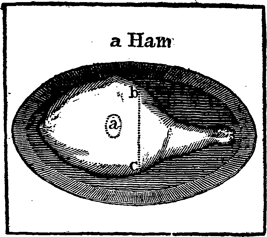 066/066700190000480_0.png