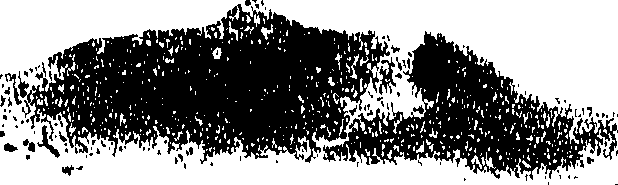066/066720010000290_0.png