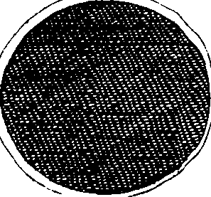 066/066790150000010_1.png