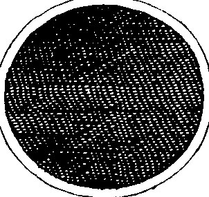 066/066790150000010_2.png