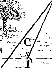 066/066810140001350_0.png
