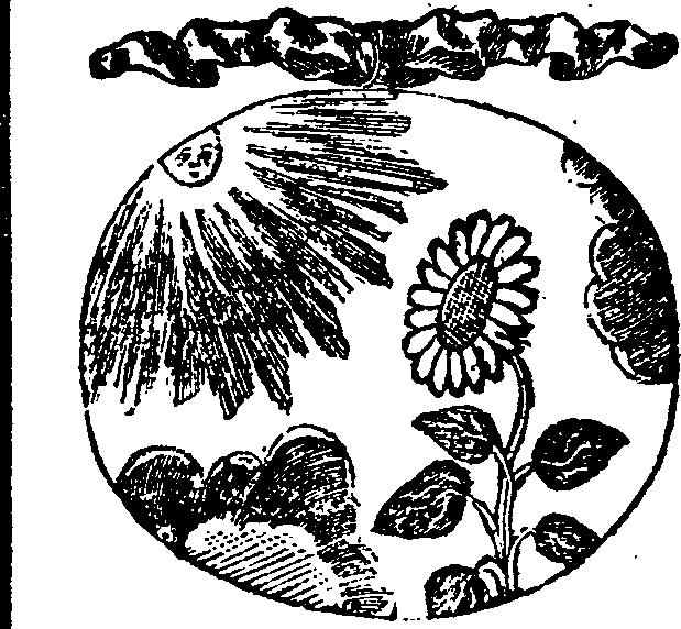 066/066840060000460_0.png