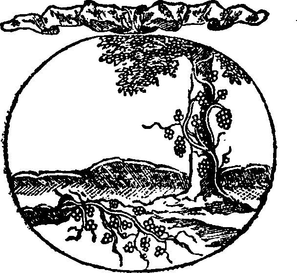 066/066840060000840_0.png