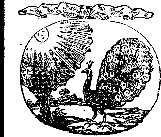 066/066840060001400_0.png
