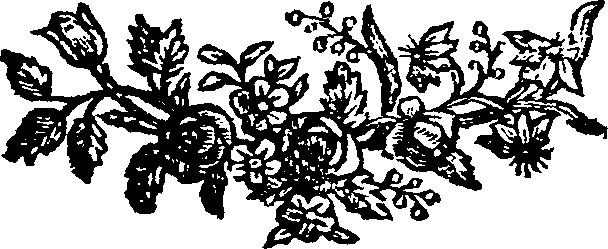 066/066920010300020_1.png