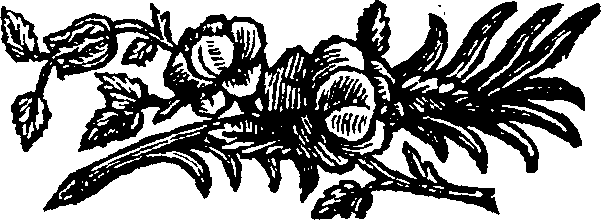 066/066920010401330_0.png