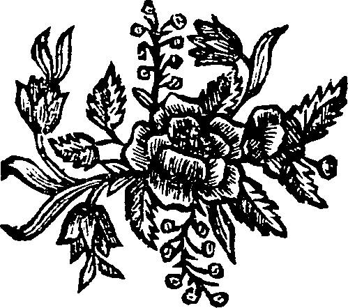 066/066920010401410_0.png