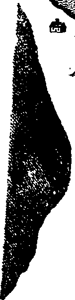 066/066920060000060_1.png