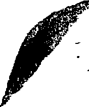 066/066920060000060_2.png