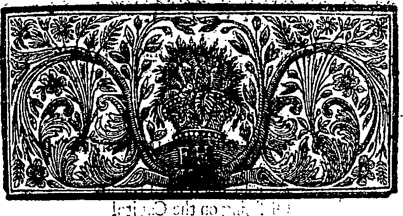 067/067000120000060_2.png