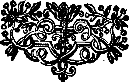 067/067050120000720_0.png