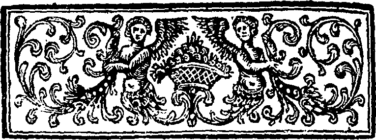 067/067080180003620_0.png