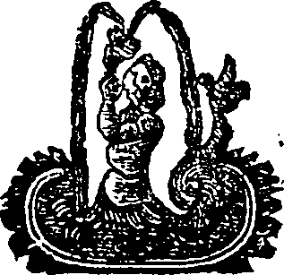 067/067080180004120_0.png