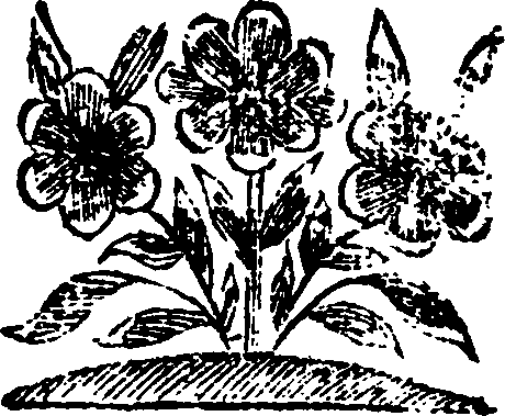 067/067110320000900_0.png