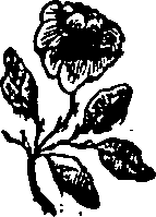 067/067120030001750_0.png