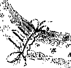 067/067120040000020_1.png
