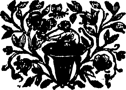 067/067120050001110_0.png