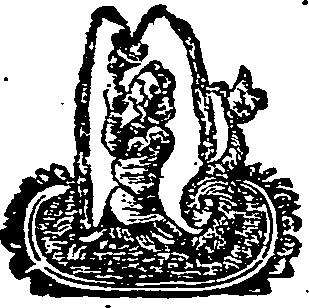 067/067120150000360_0.png