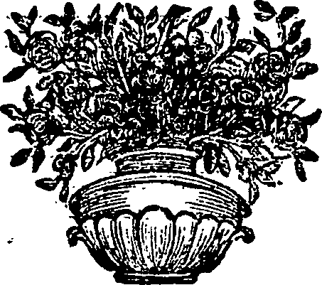 067/067120150000470_0.png