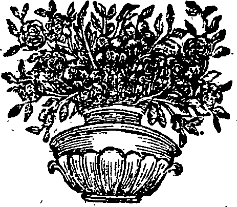 067/067120150000750_0.png