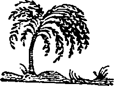 067/067120160000080_0.png