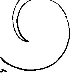 067/067140010100520_0.png