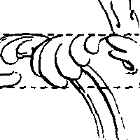 067/067140040000550_2.png