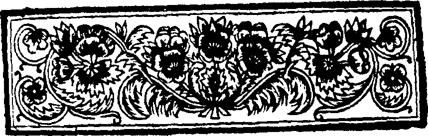 067/067150040000050_1.png