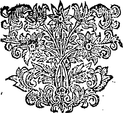 067/067220060000070_0.png