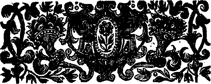 067/067280020000020_0.png