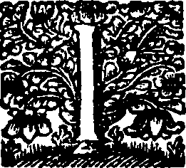 067/067280130000080_0.png