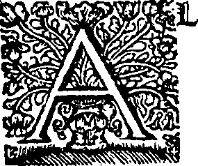 067/067280130000250_3.png