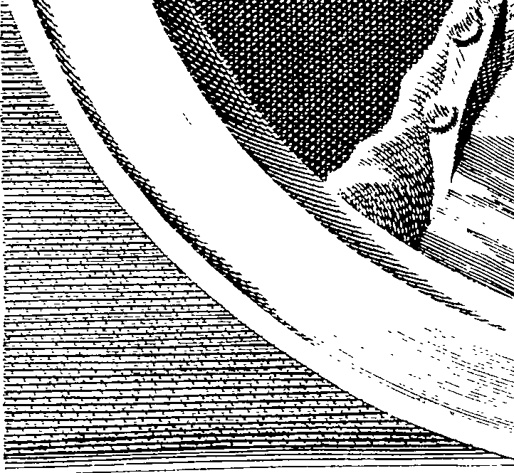 067/067290010000010_1.png