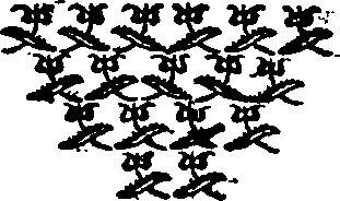 067/067290010001160_0.png