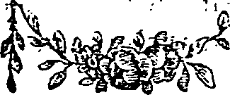 067/067370090000050_0.png