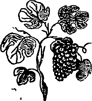 067/067370090000190_0.png