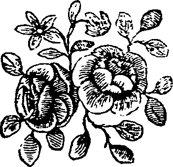 067/067370090000950_0.png
