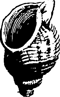 067/067380010003320_0.png