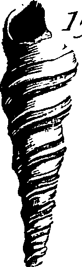 067/067380010003320_1.png