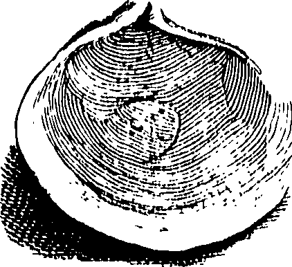 067/067380010003390_0.png