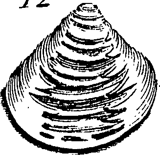 067/067380010003390_1.png